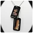 Twilight Breaking Dawn Edward Dog Tags Necklace
